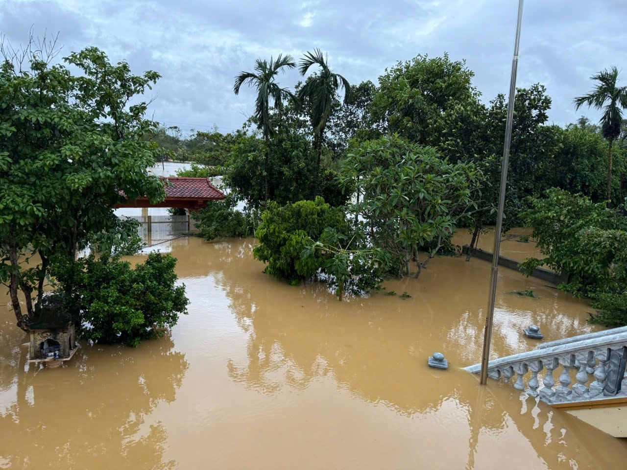 Trang chủ 35 ngap lut 1